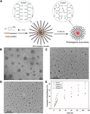 Smart nanogels for cancer treatment from the perspective of functional groups